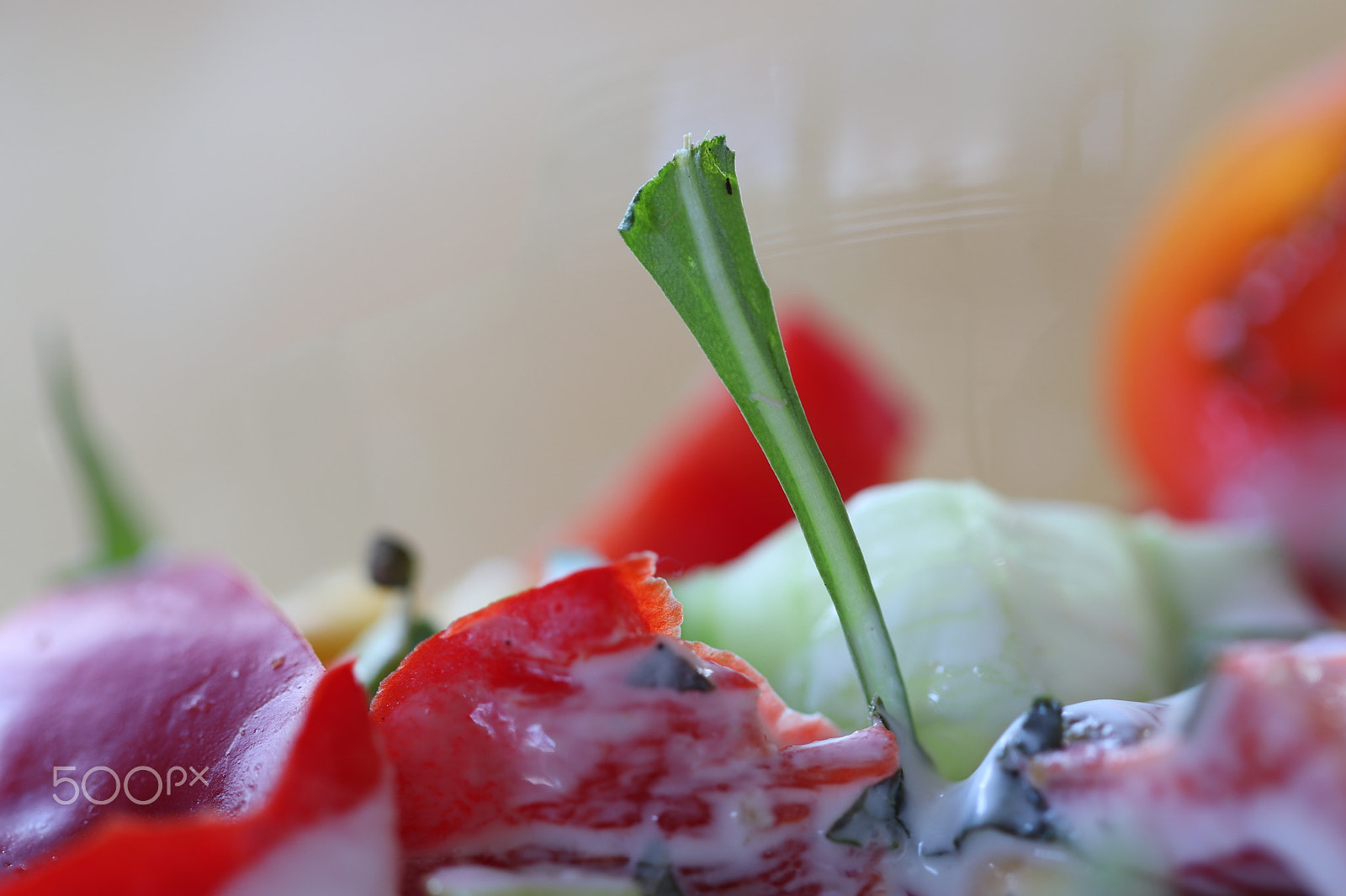 Canon EF 100mm F2.8L Macro IS USM sample photo. Salad photography
