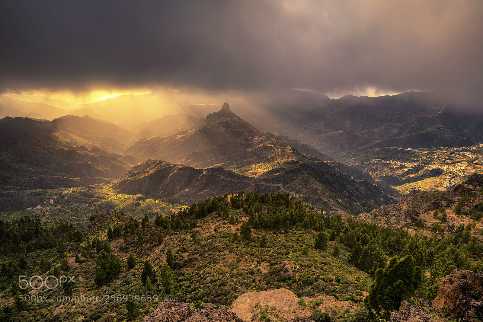 Sony a7R II sample photo. Roque photography