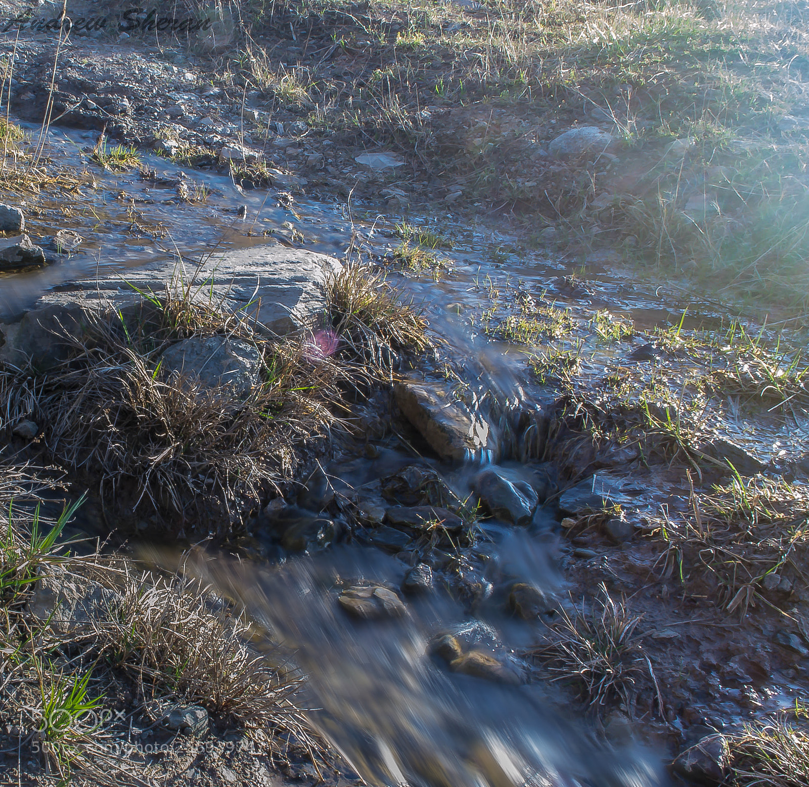 Nikon D3100 sample photo. Slow shutter speed photography