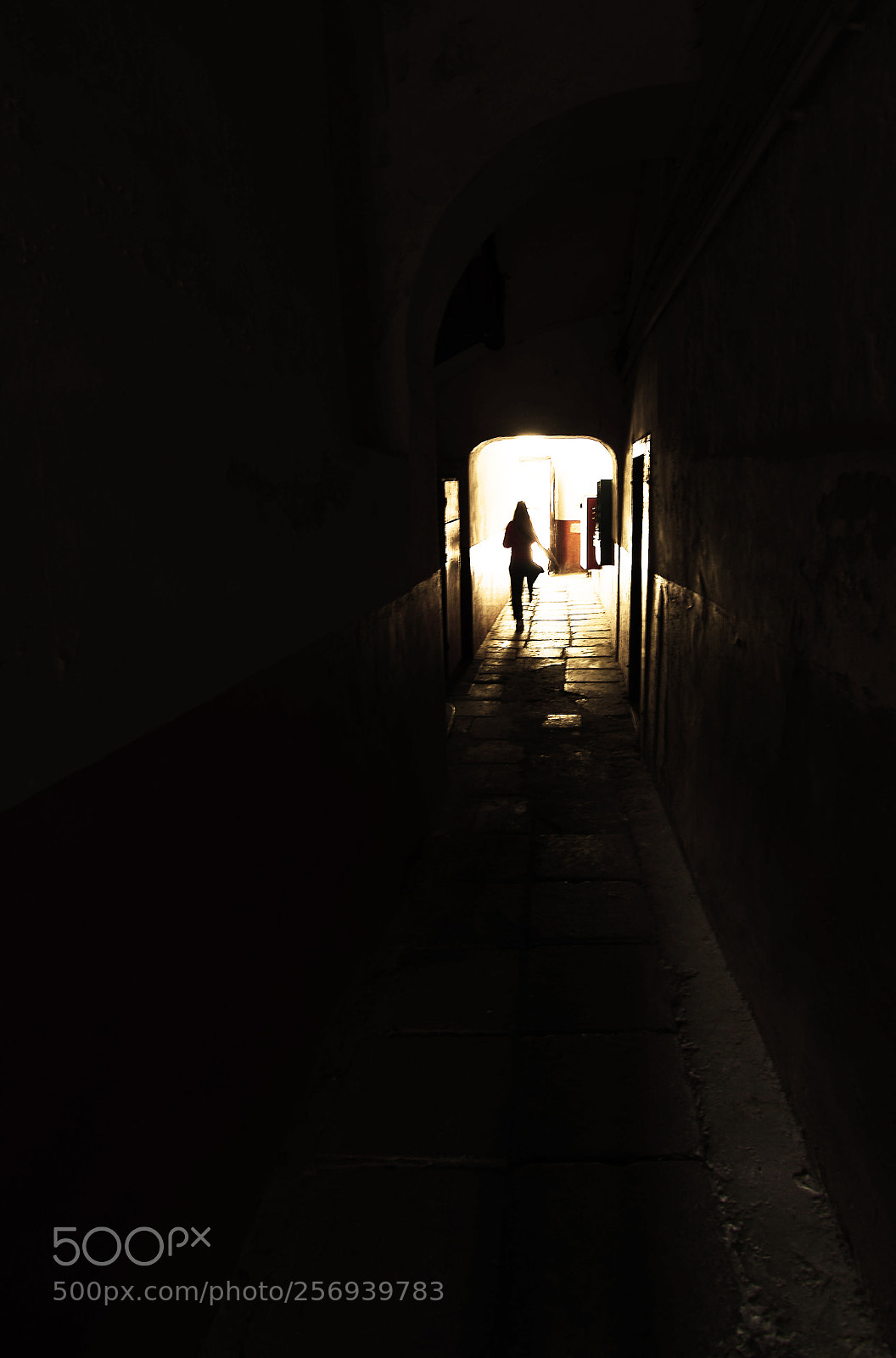 Nikon D7000 sample photo. To the light photography