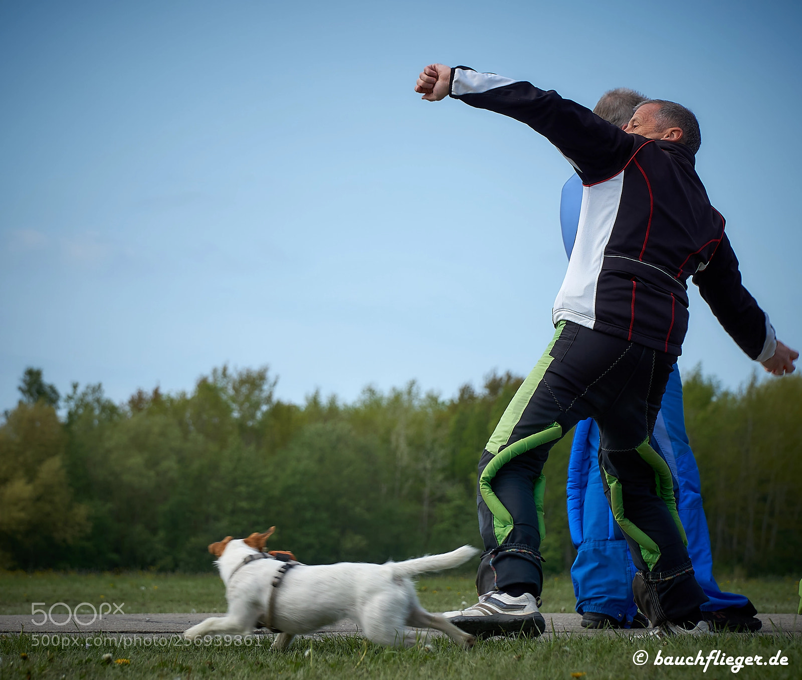 Sony a6000 sample photo. Theo, the dropzone dog photography