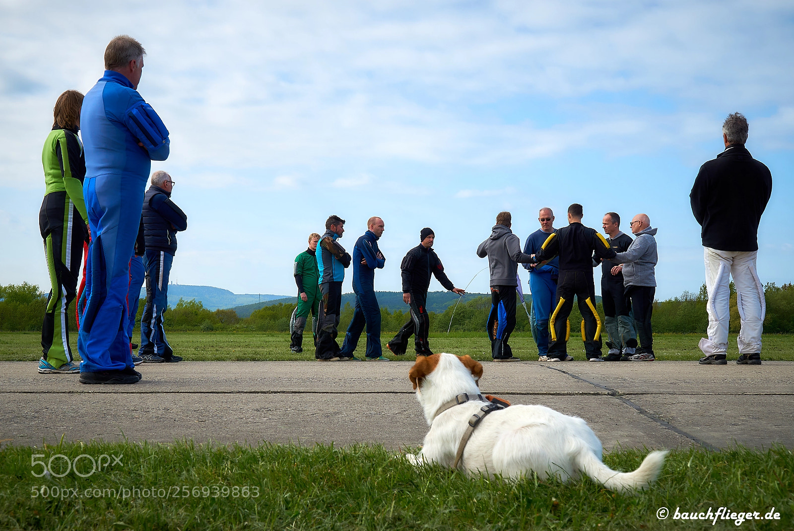 Sony a6000 sample photo. Theo, the dropzone dog photography