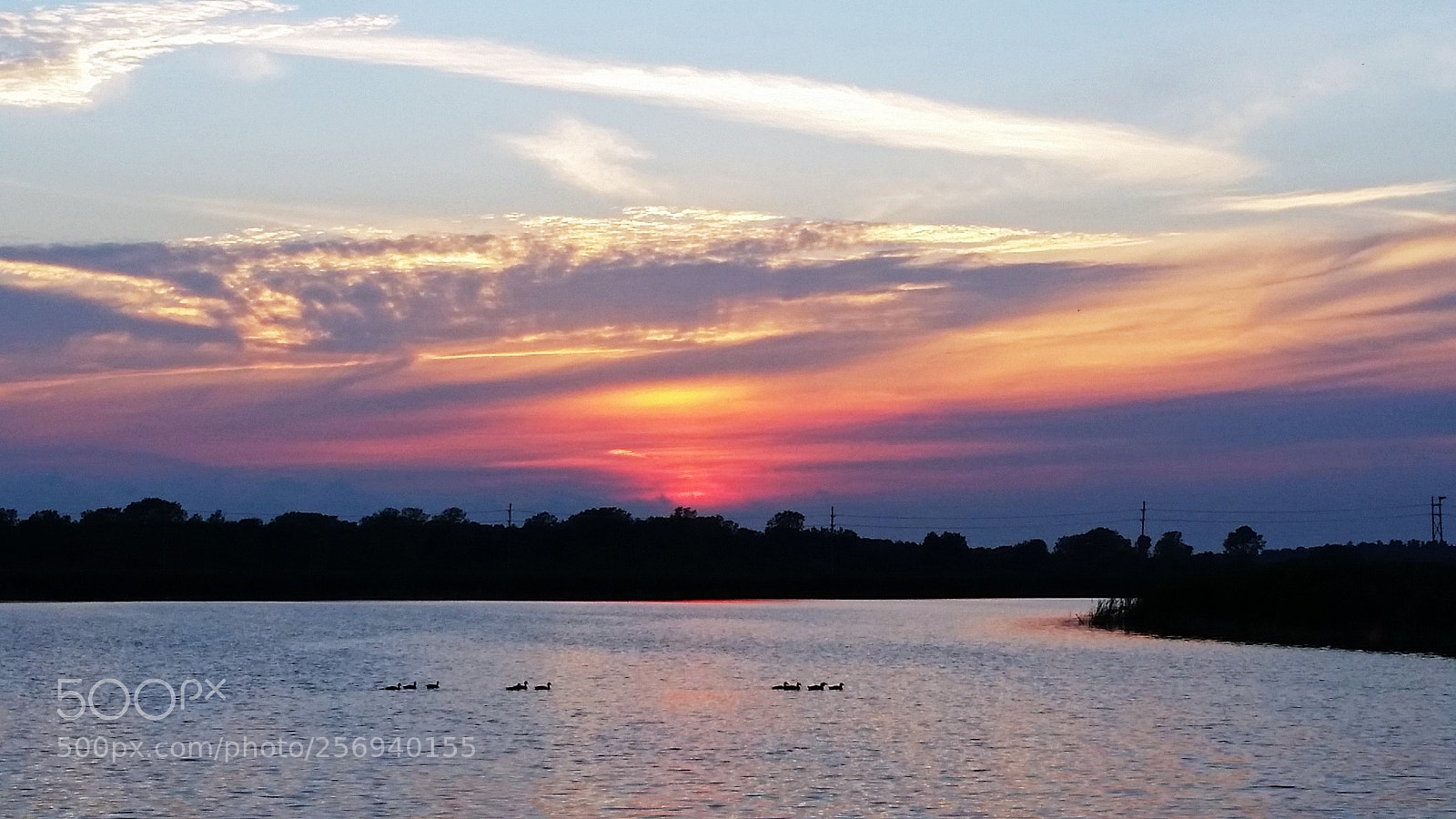Samsung Galaxy S5 sample photo. Sunset swim photography