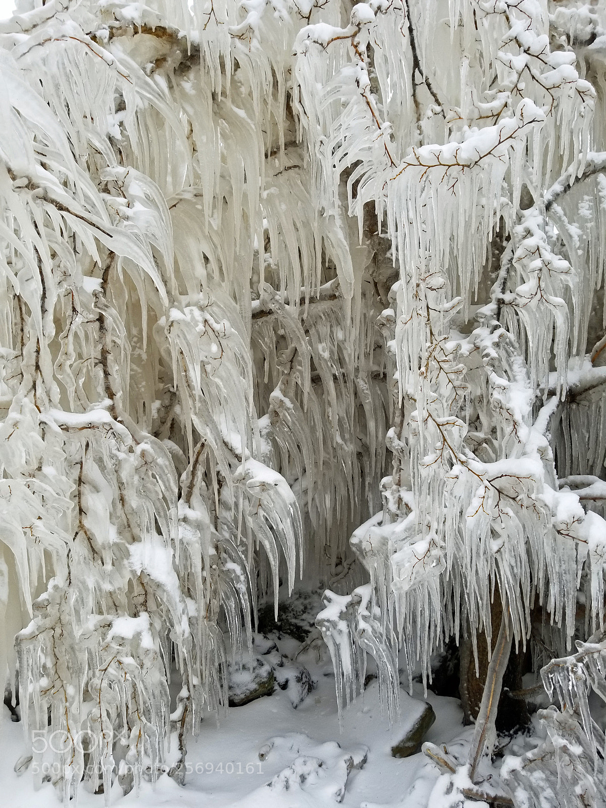 Samsung Galaxy S8 sample photo. Icicles photography
