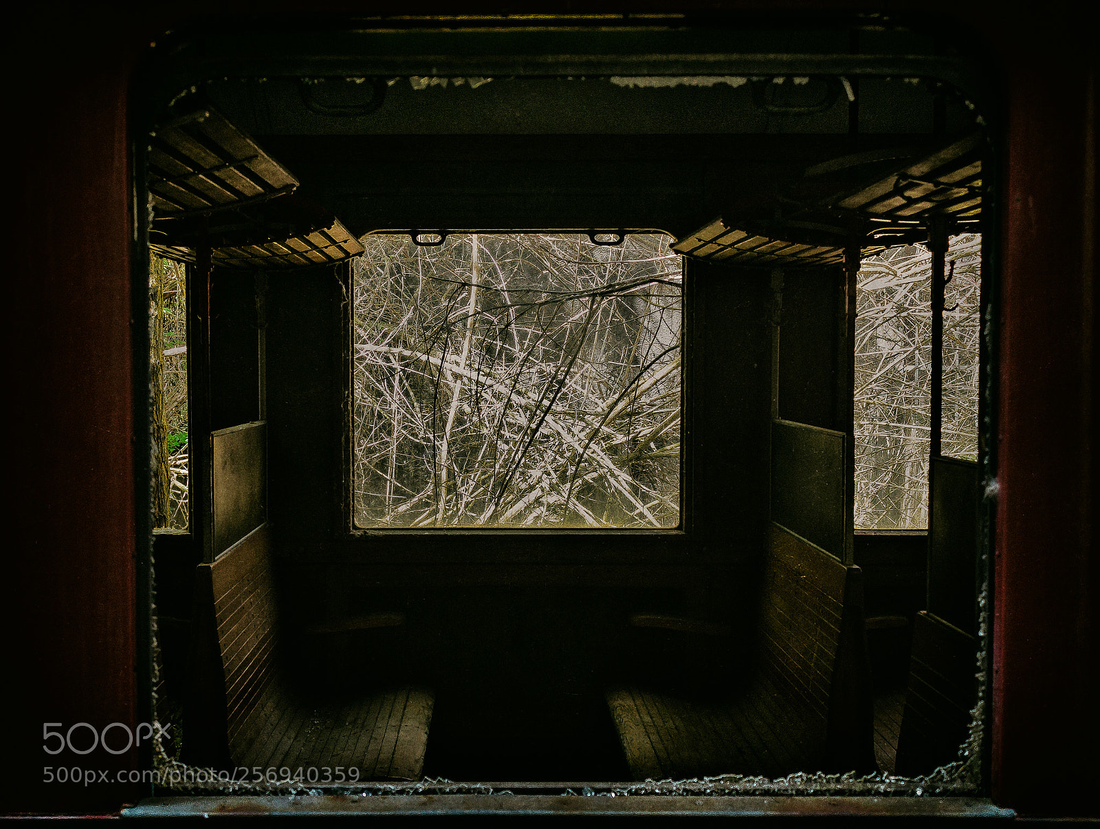 Canon EOS 7D sample photo. Behind the windows... photography