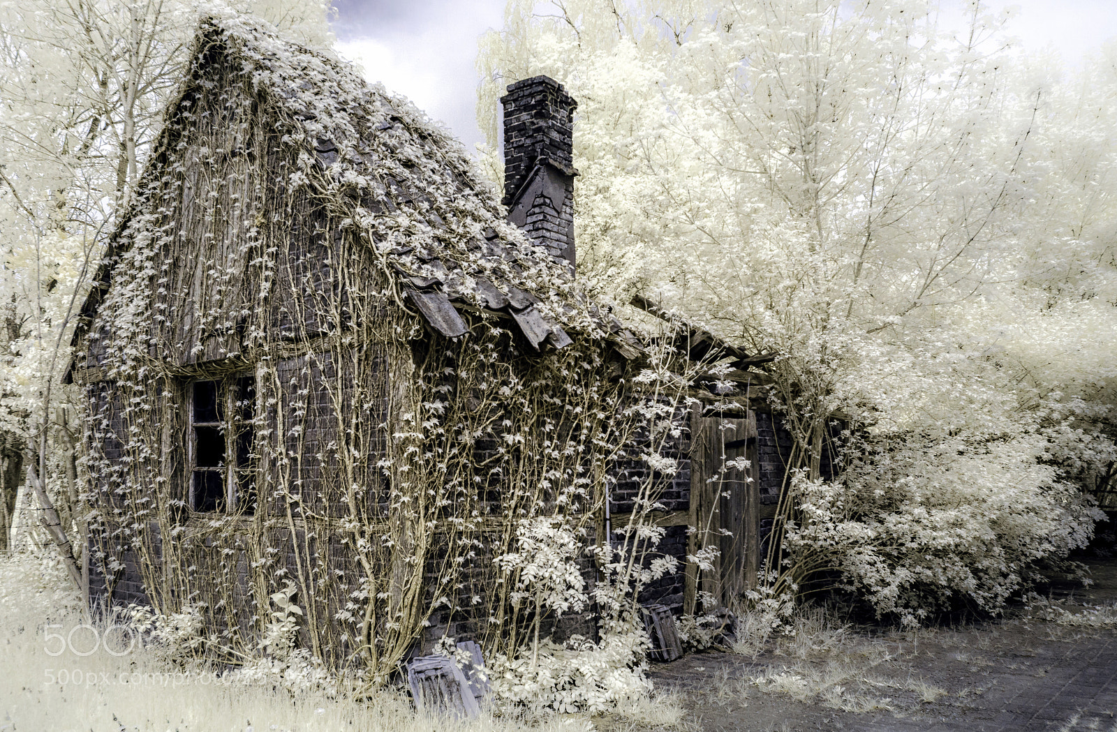 Nikon D5100 sample photo. Old house photography