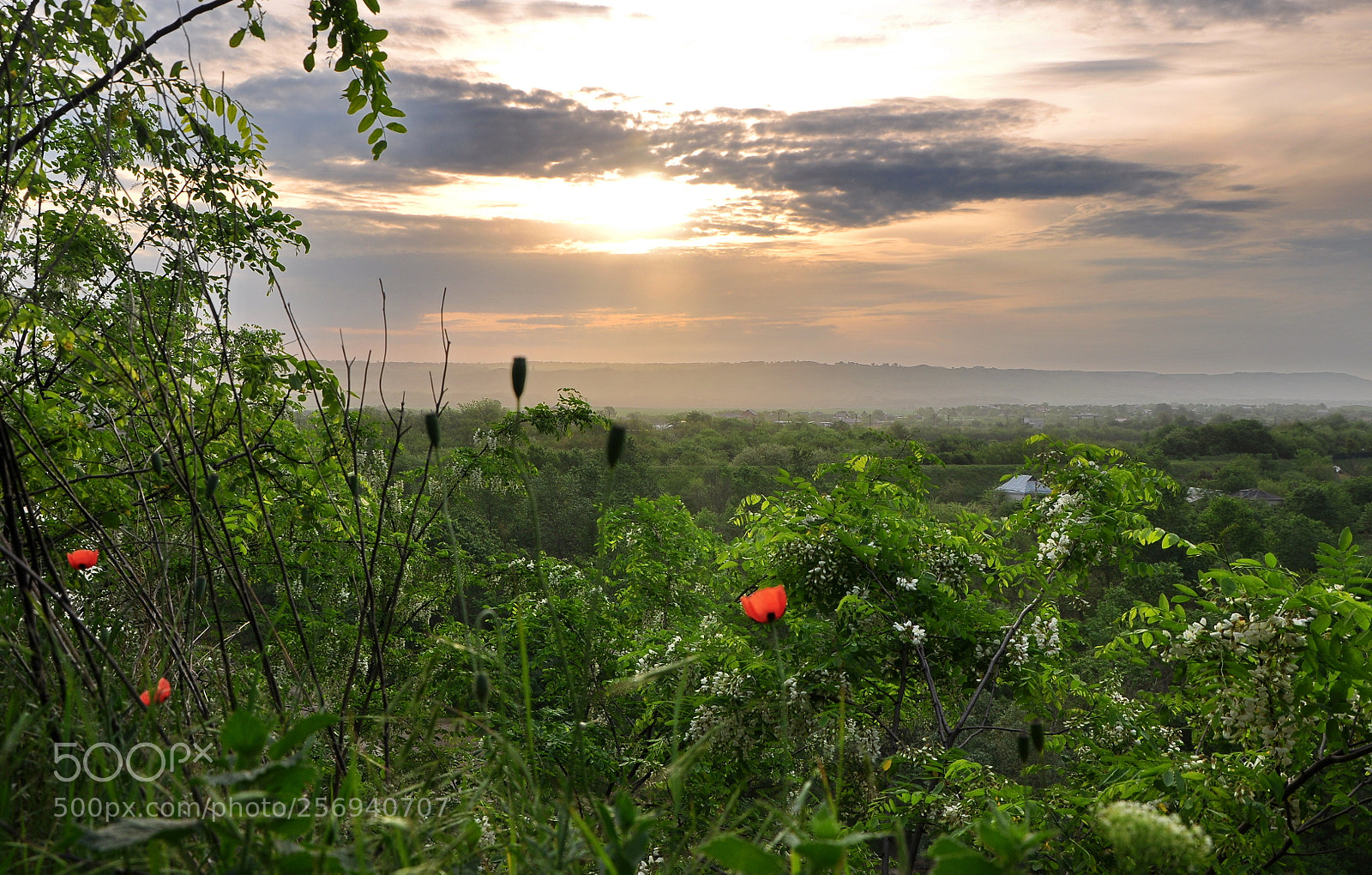 Nikon D90 sample photo. Untitled photography
