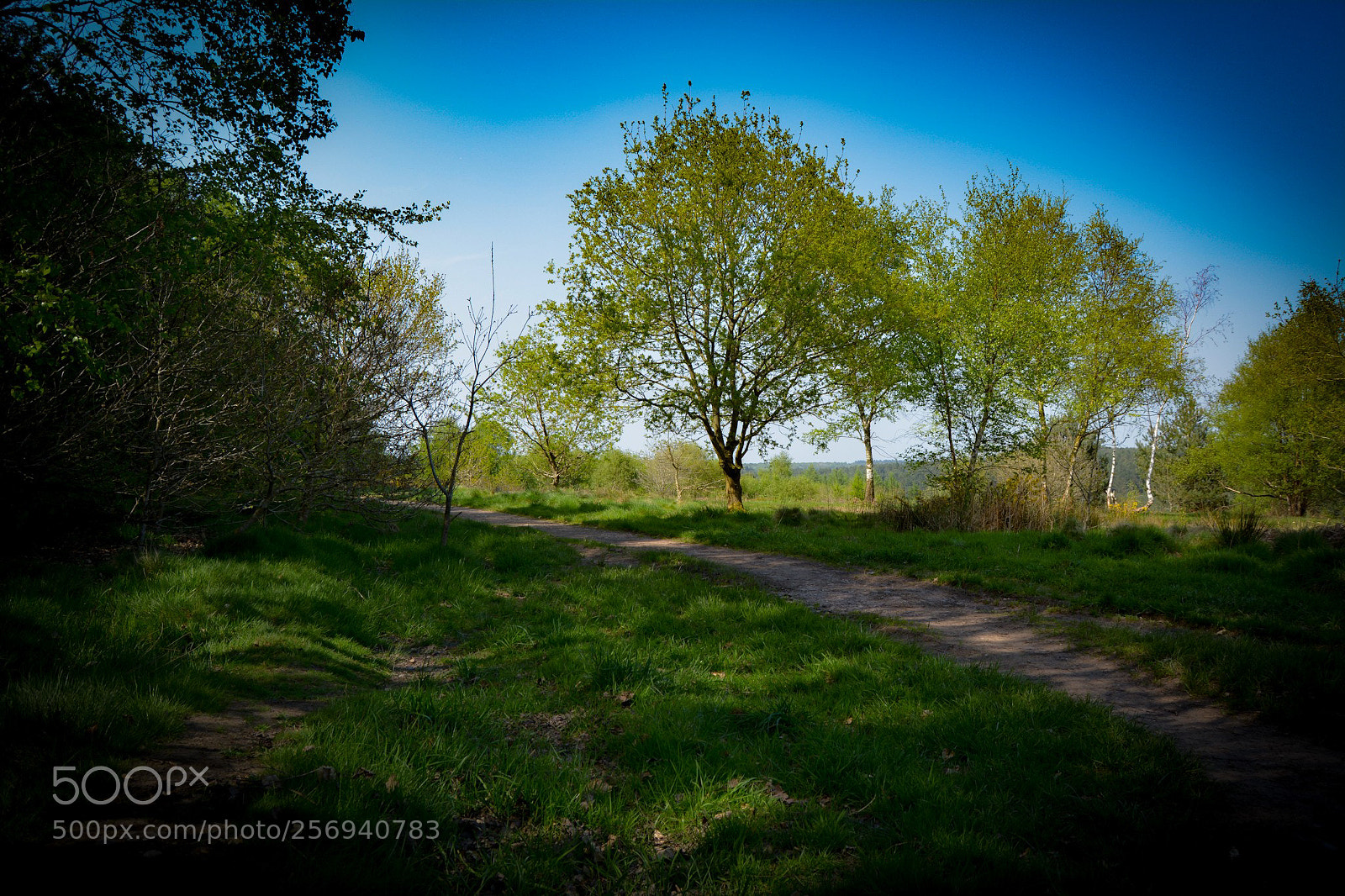 Nikon D5200 sample photo. Untitled photography