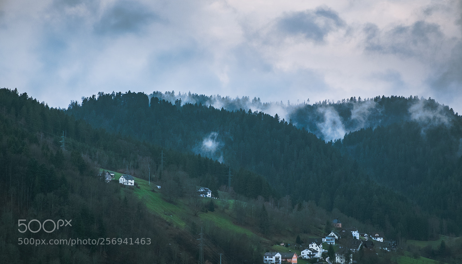 Fujifilm X-T10 sample photo. Misty black forest photography