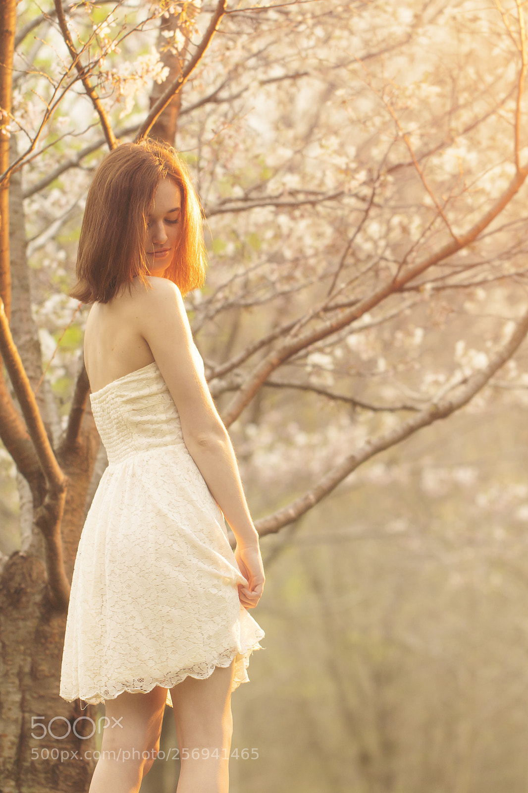 Canon EOS 7D Mark II sample photo. Blossoms photography