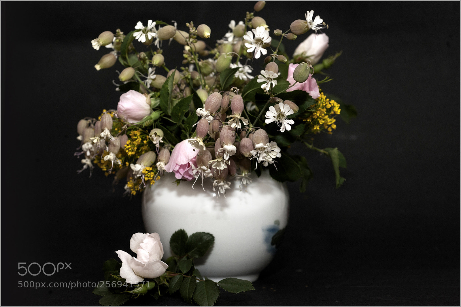 Nikon D700 sample photo. *** photography