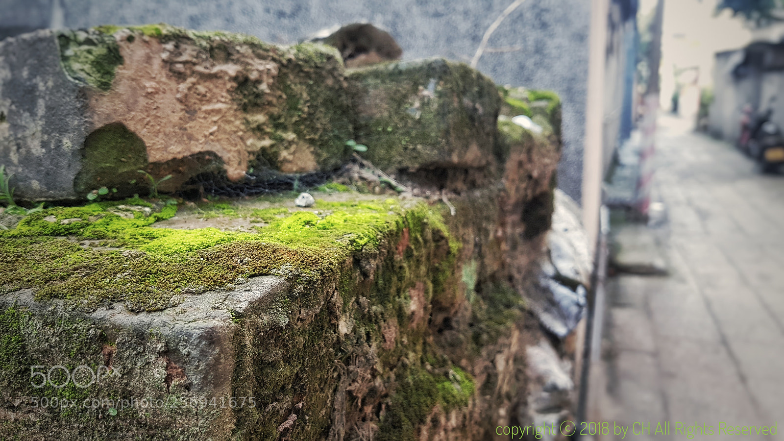 Samsung Galaxy S7 Edge sample photo. Untitled photography