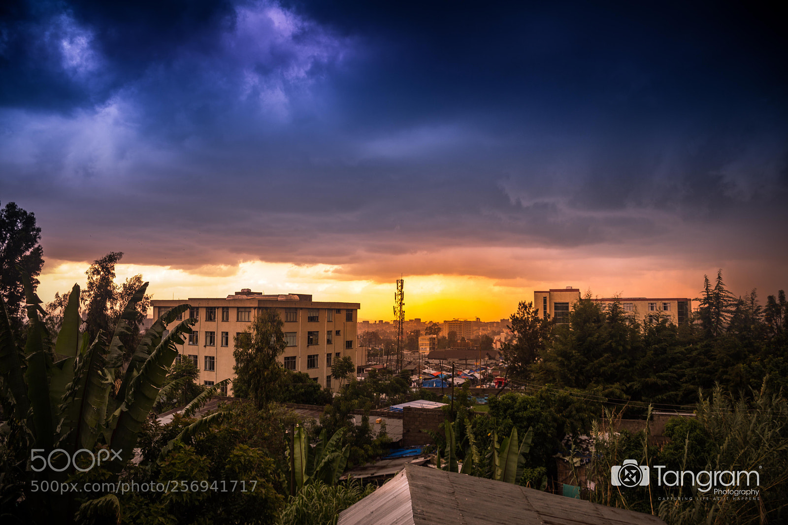 Nikon D7200 sample photo. From a window photography