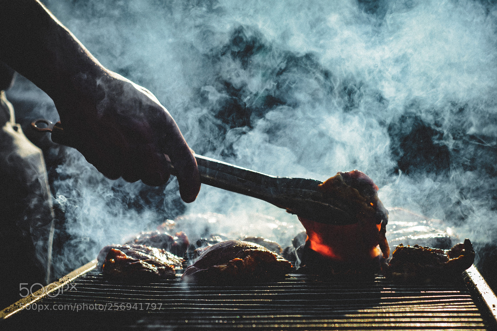 Nikon D5200 sample photo. Bbq chicken photography