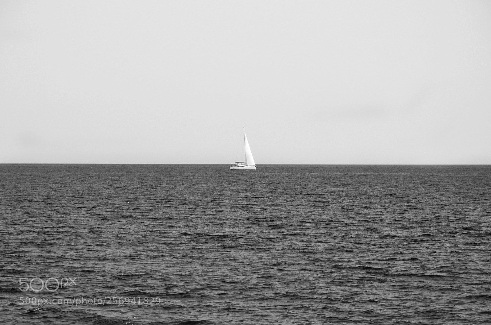 Nikon D90 sample photo. On the edge of photography