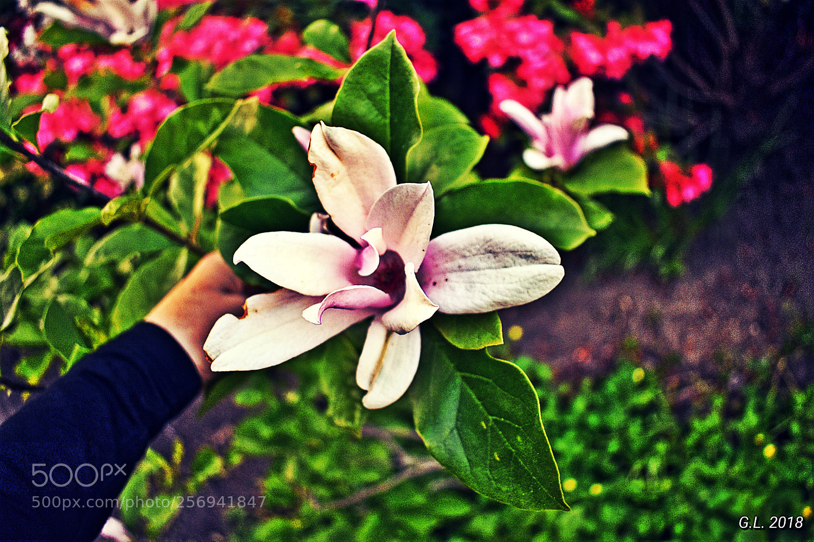 Nikon D3400 sample photo. Untitled photography