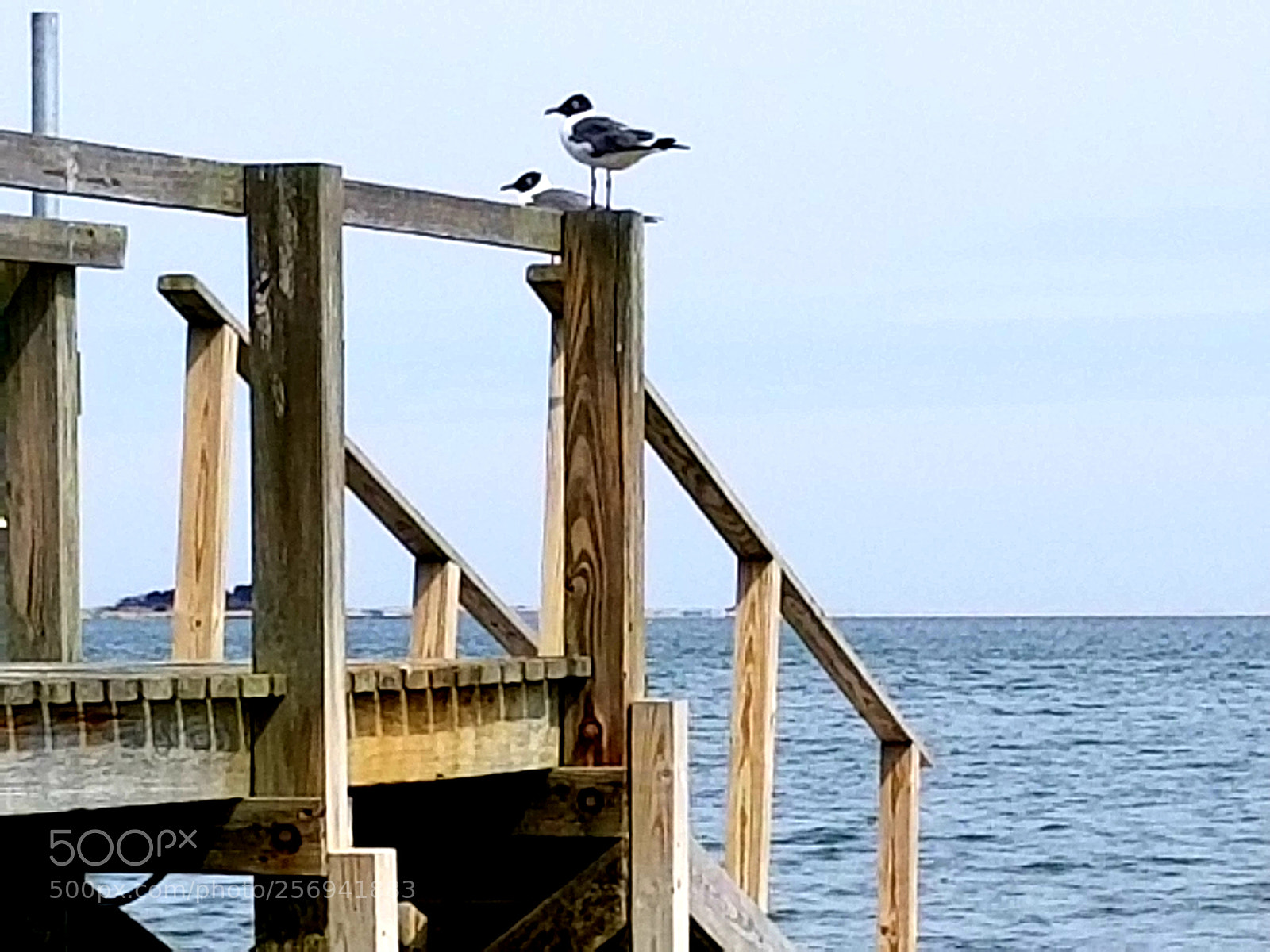 Samsung Galaxy S8+ sample photo. The lookouts photography