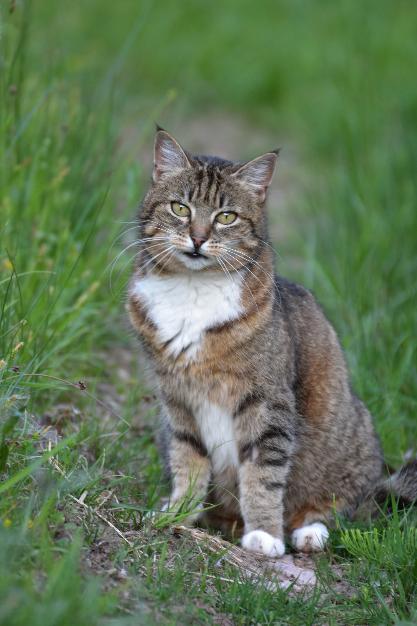 Nikon D7200 sample photo. And now? photography