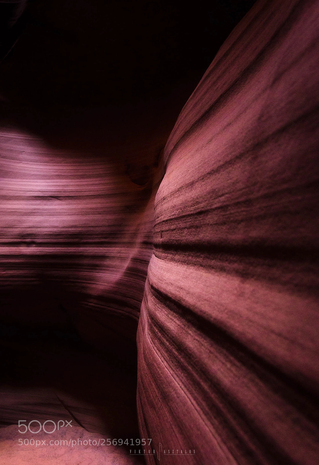 Nikon D7000 sample photo. Follow the lines, antelope photography