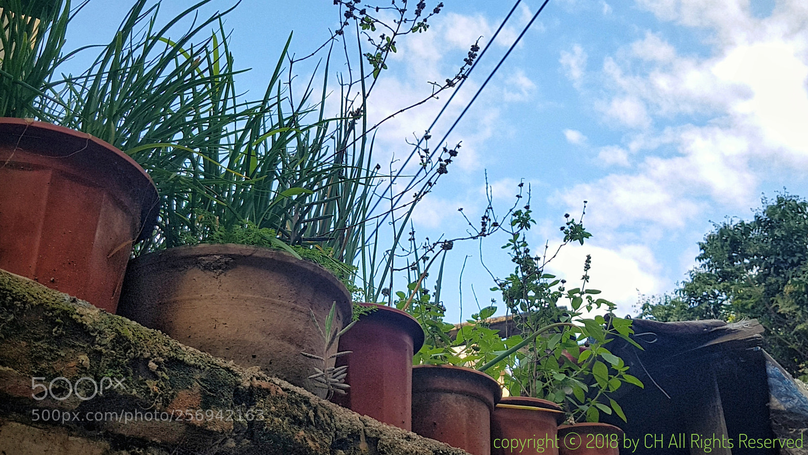 Samsung Galaxy S7 Edge sample photo. Untitled photography