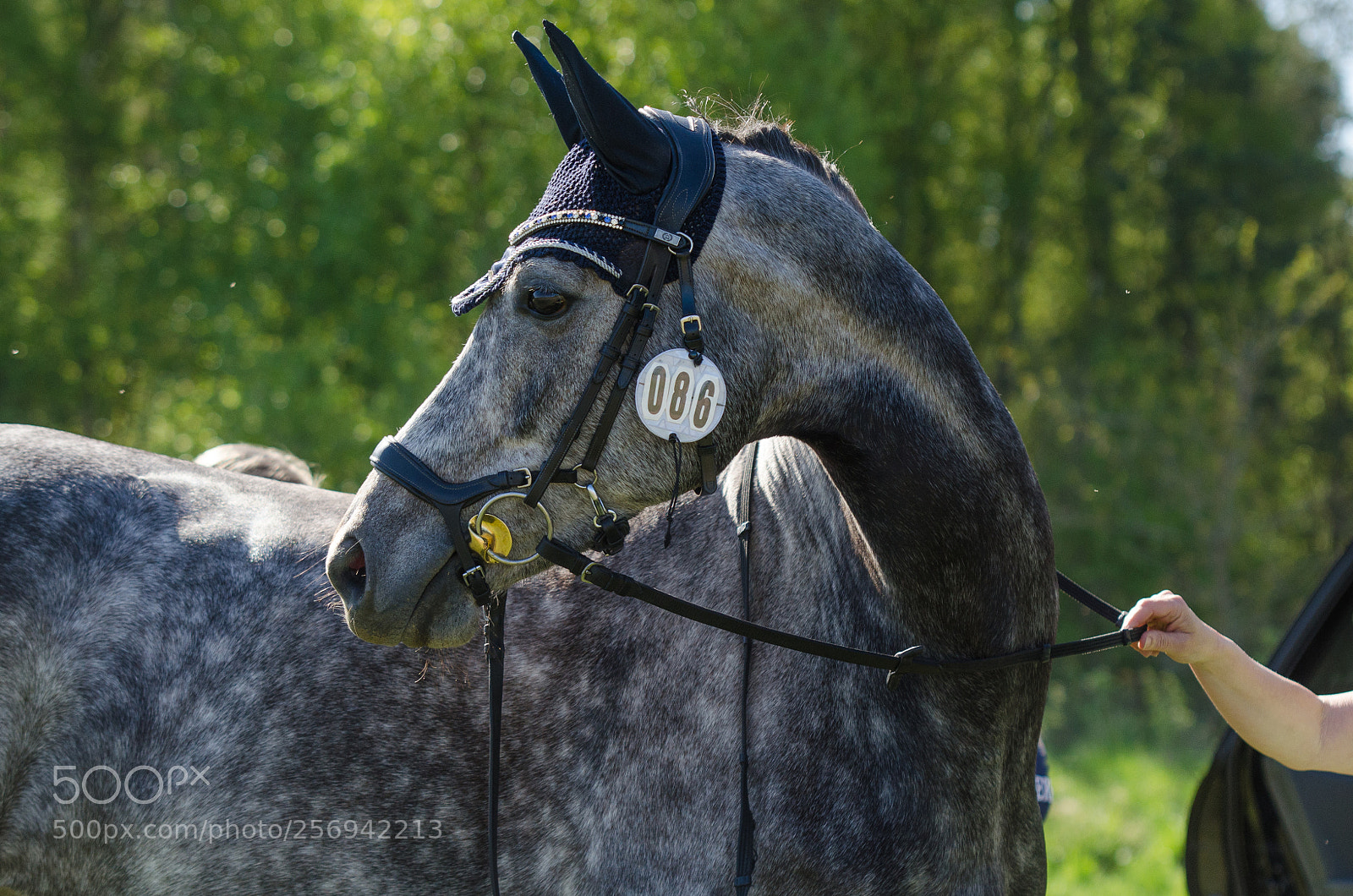 Nikon D7000 sample photo. On the way to photography