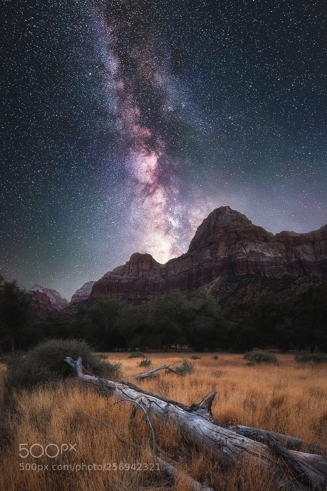 Canon EOS 6D sample photo. Canyon of stars photography