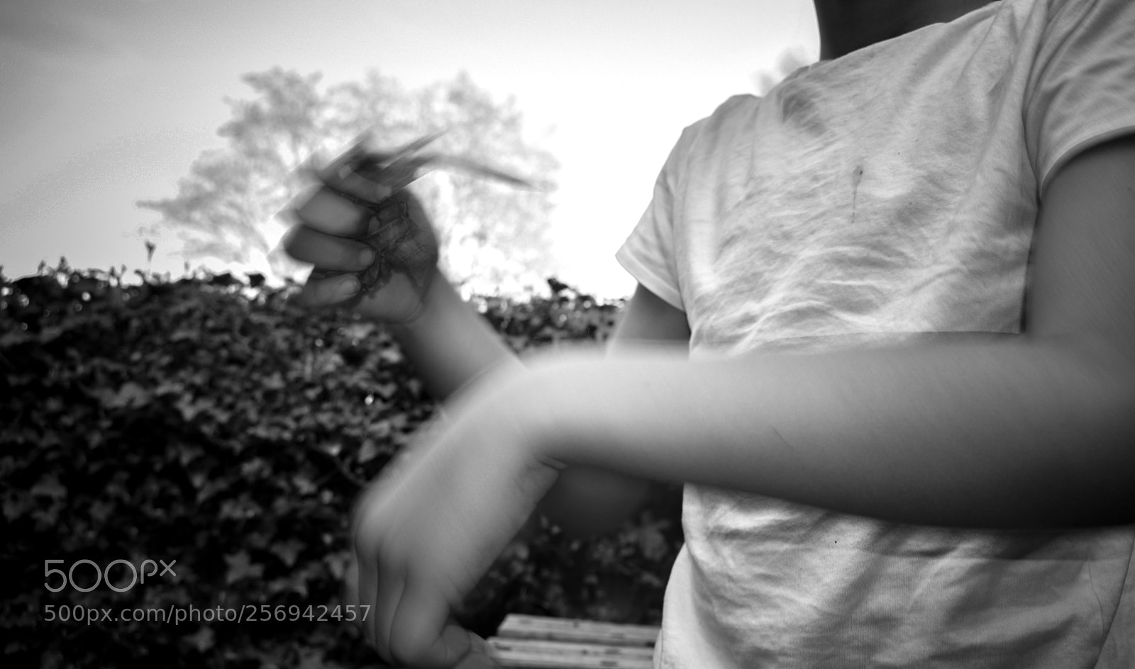 Nikon D3400 sample photo. & action  photography