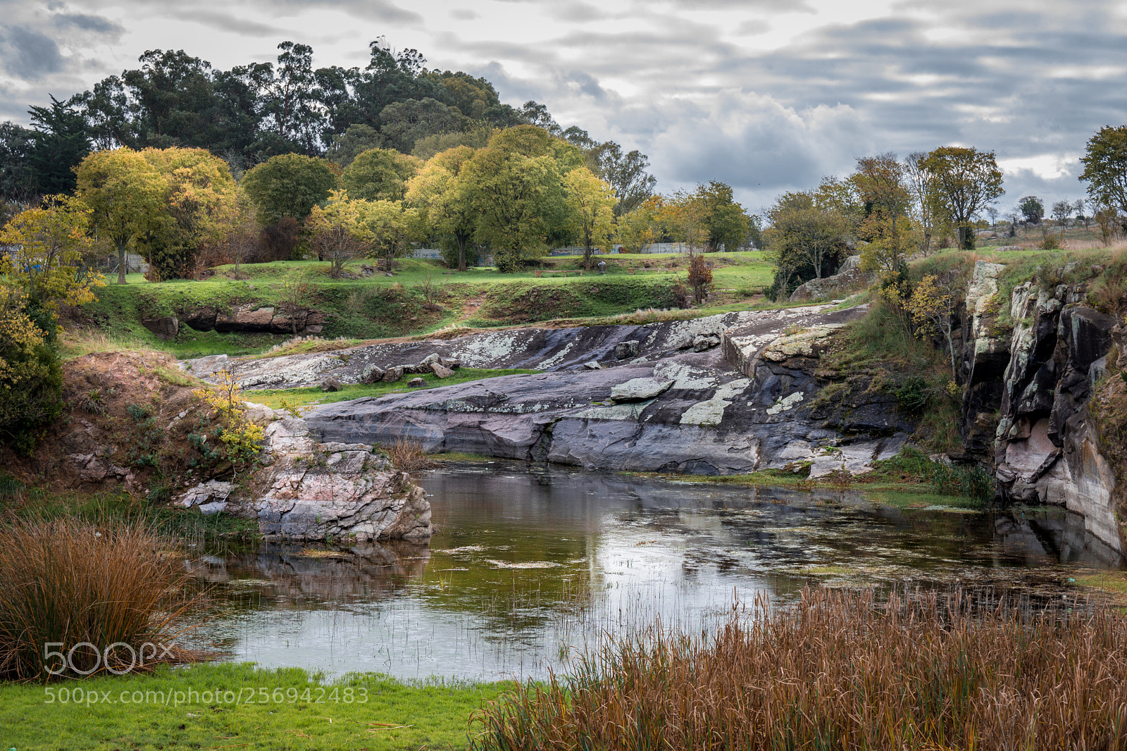 Nikon D7200 sample photo. Paraje photography