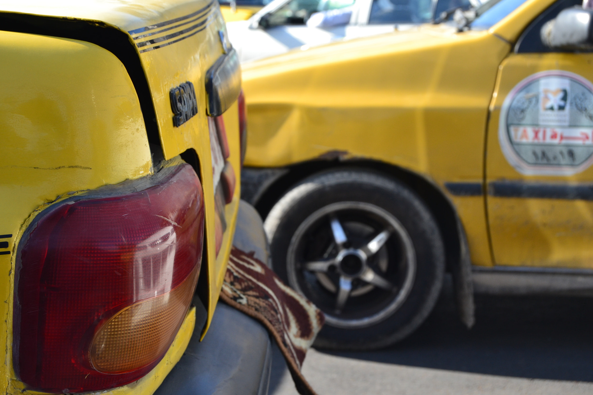 Nikon D3100 sample photo. Jaune photography