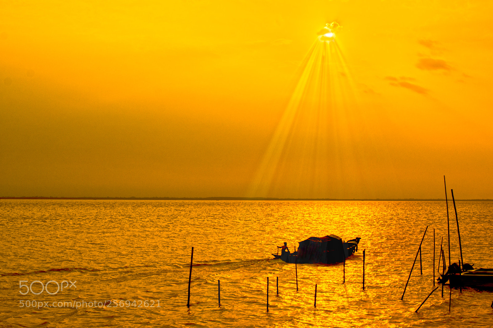 Nikon D7100 sample photo. Golden sun photography