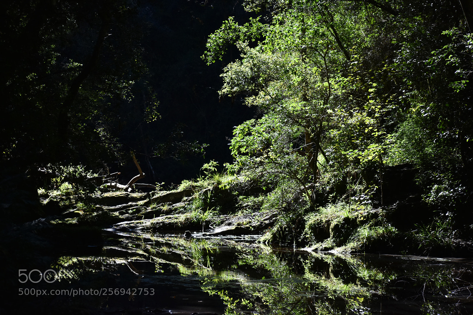 Nikon D3400 sample photo. Reflections on the river photography