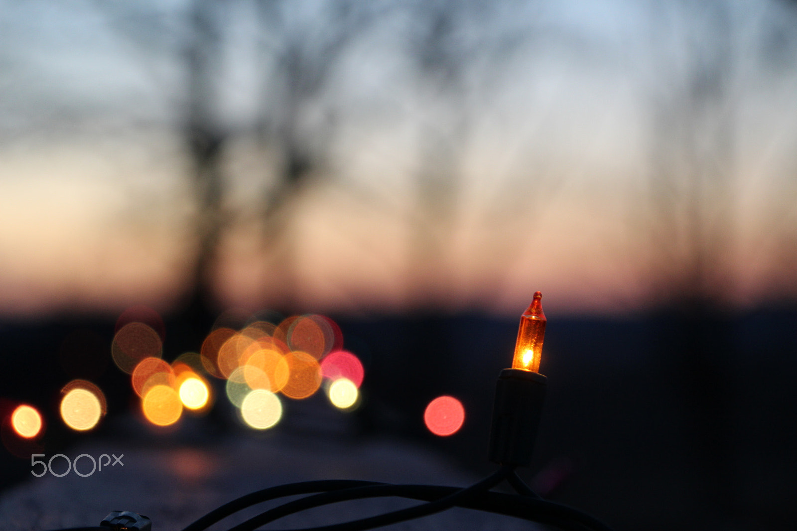 Canon TS-E 90mm F2.8 Tilt-Shift sample photo. Christmas lights at dusk photography