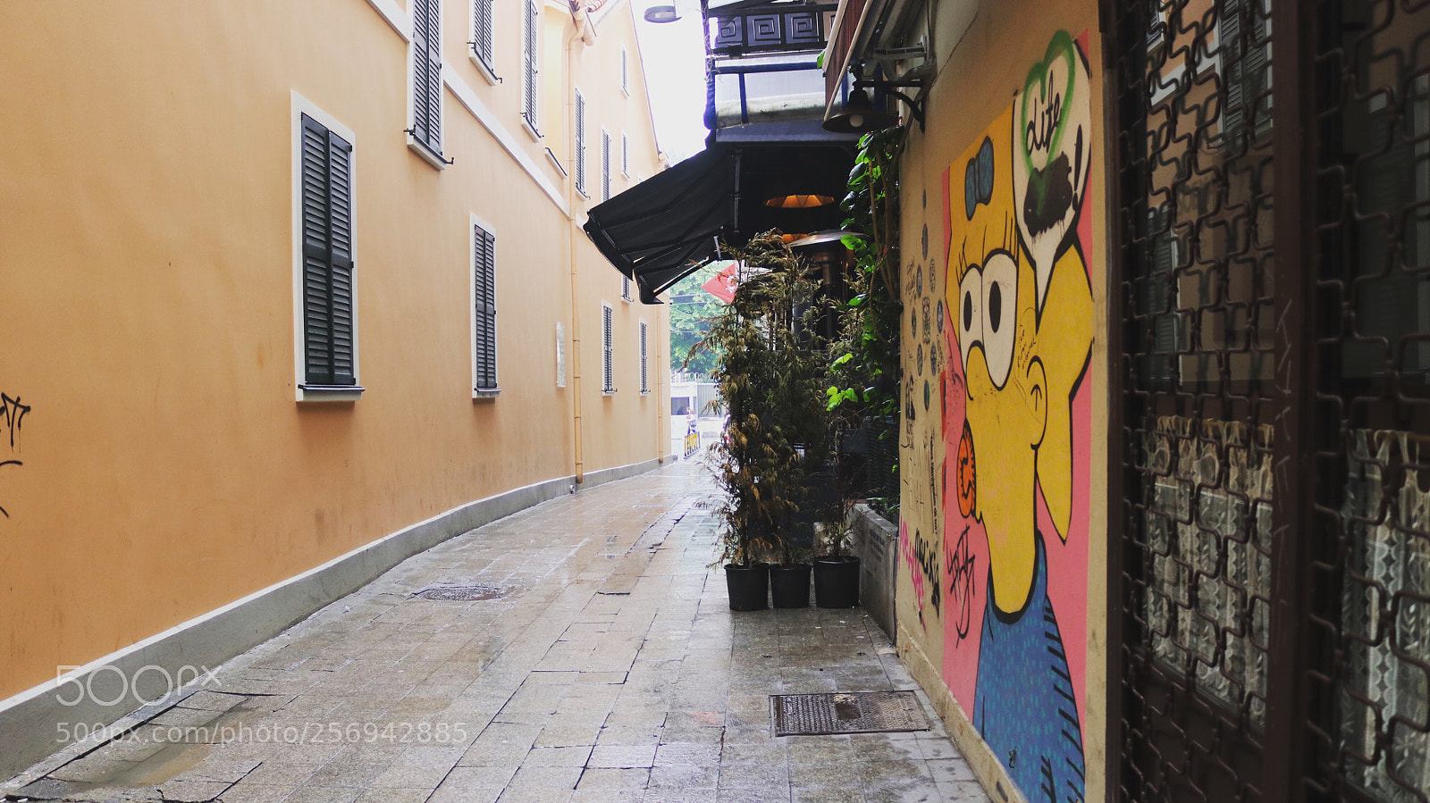 Canon EOS 80D sample photo. Colorful street photography