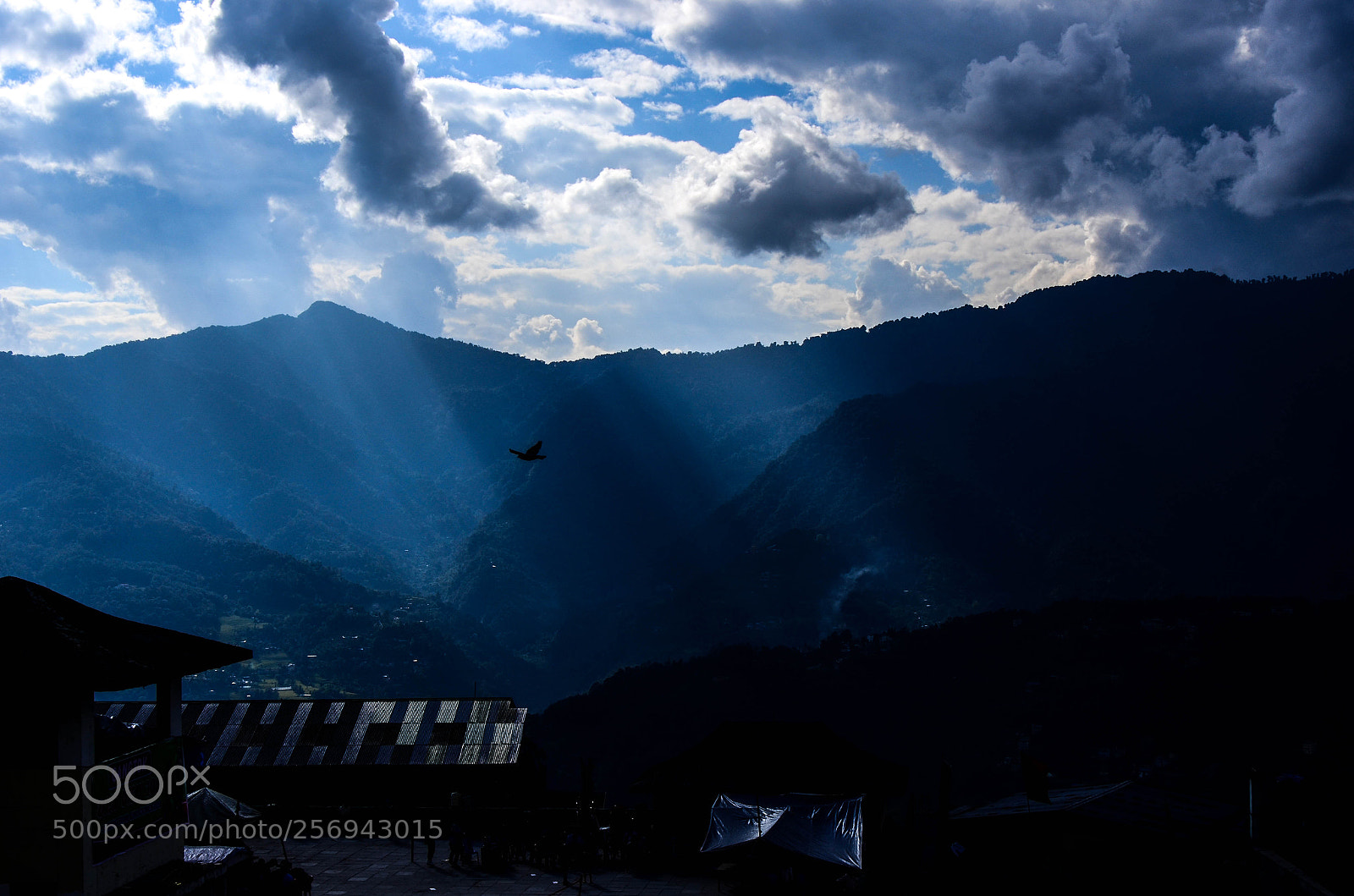 Nikon D7000 sample photo. The blue mountain photography