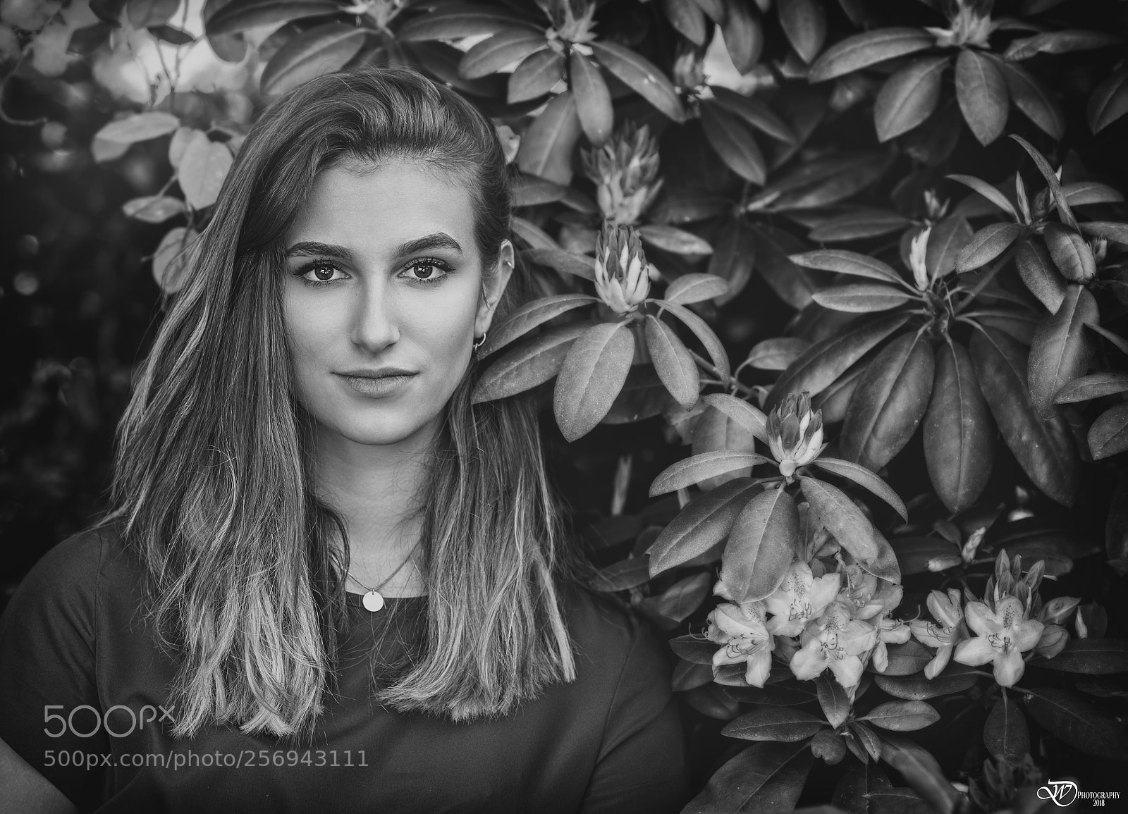 Nikon D750 sample photo. Emmy photography