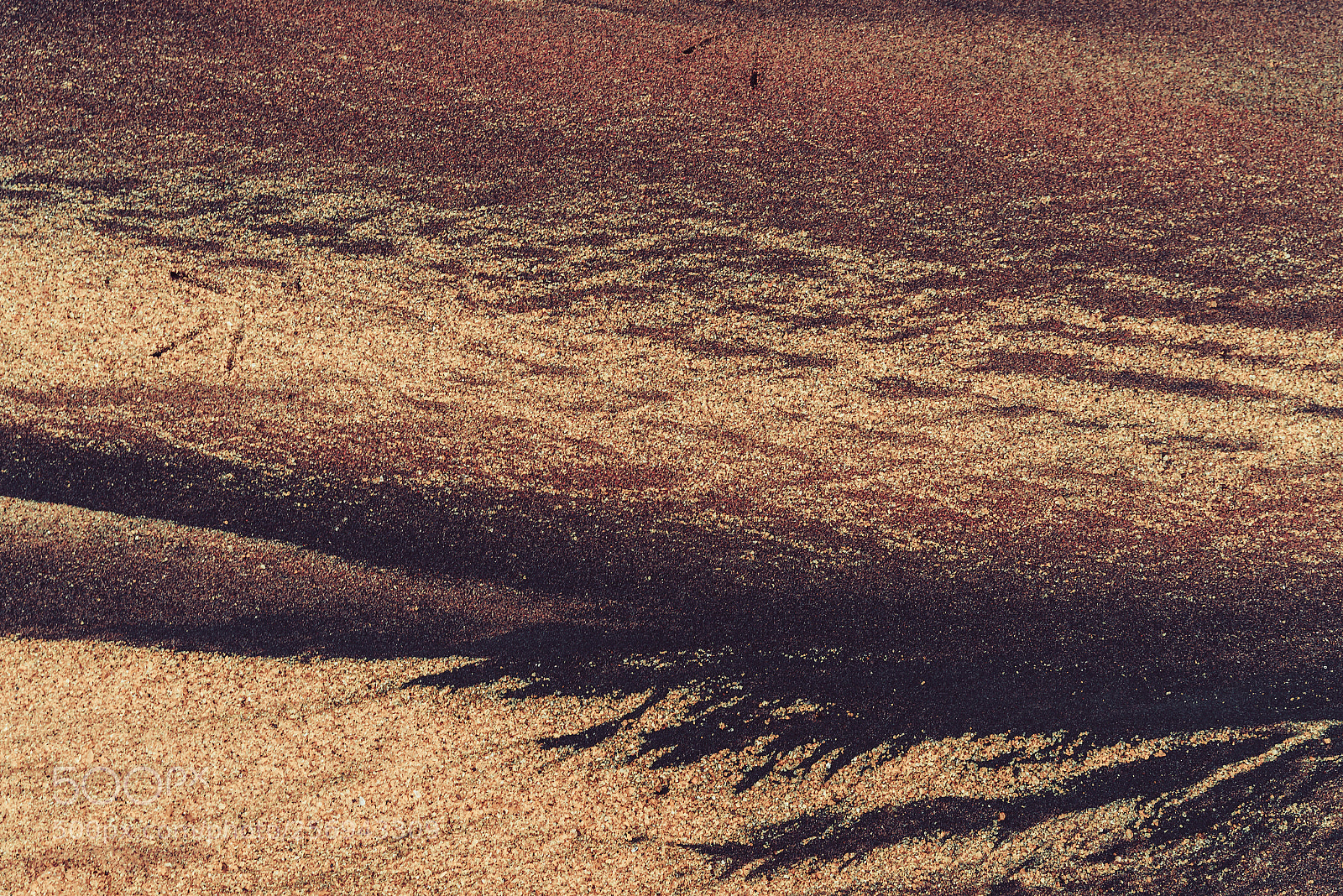 Nikon D800 sample photo. Orange sand background. abstract photography