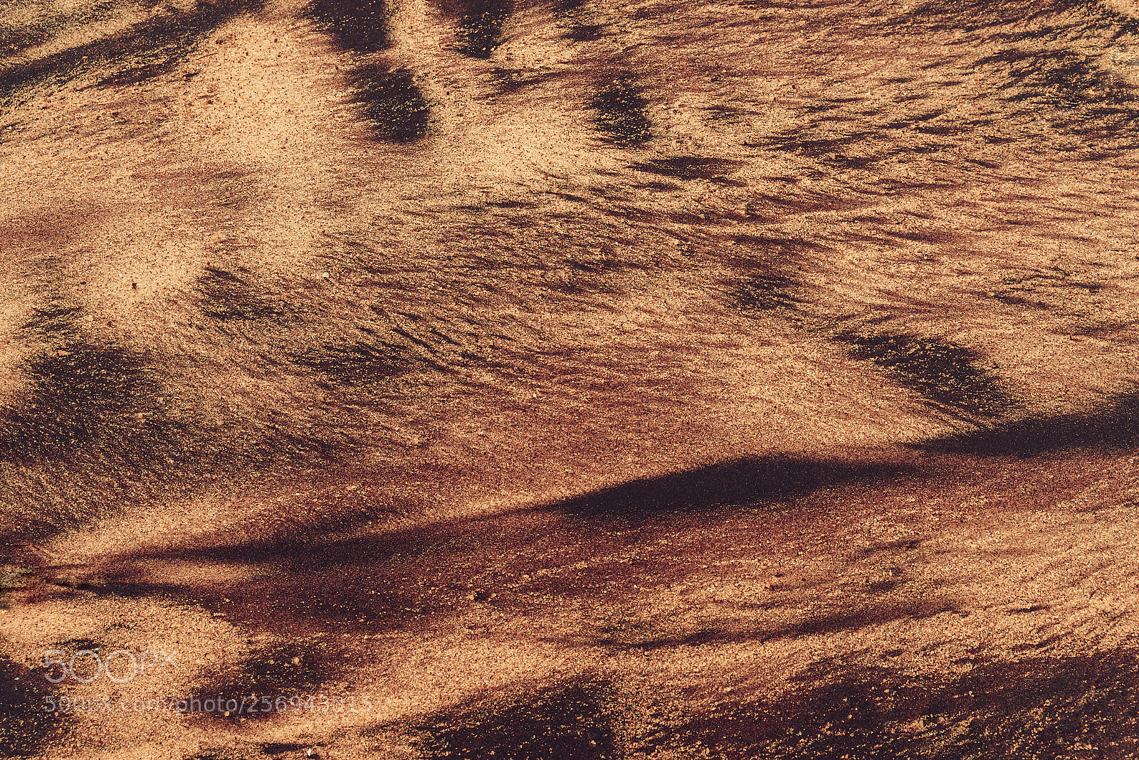 Nikon D800 sample photo. Orange sand background. abstract photography