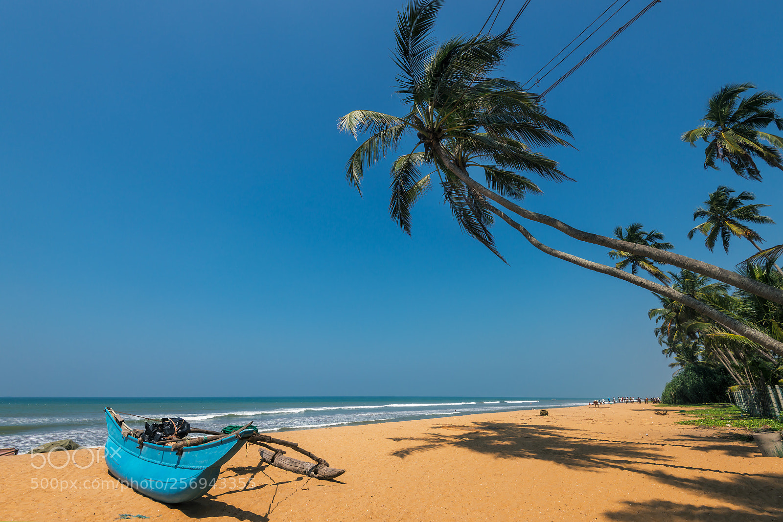 Nikon D800 sample photo. Beach with palms and photography
