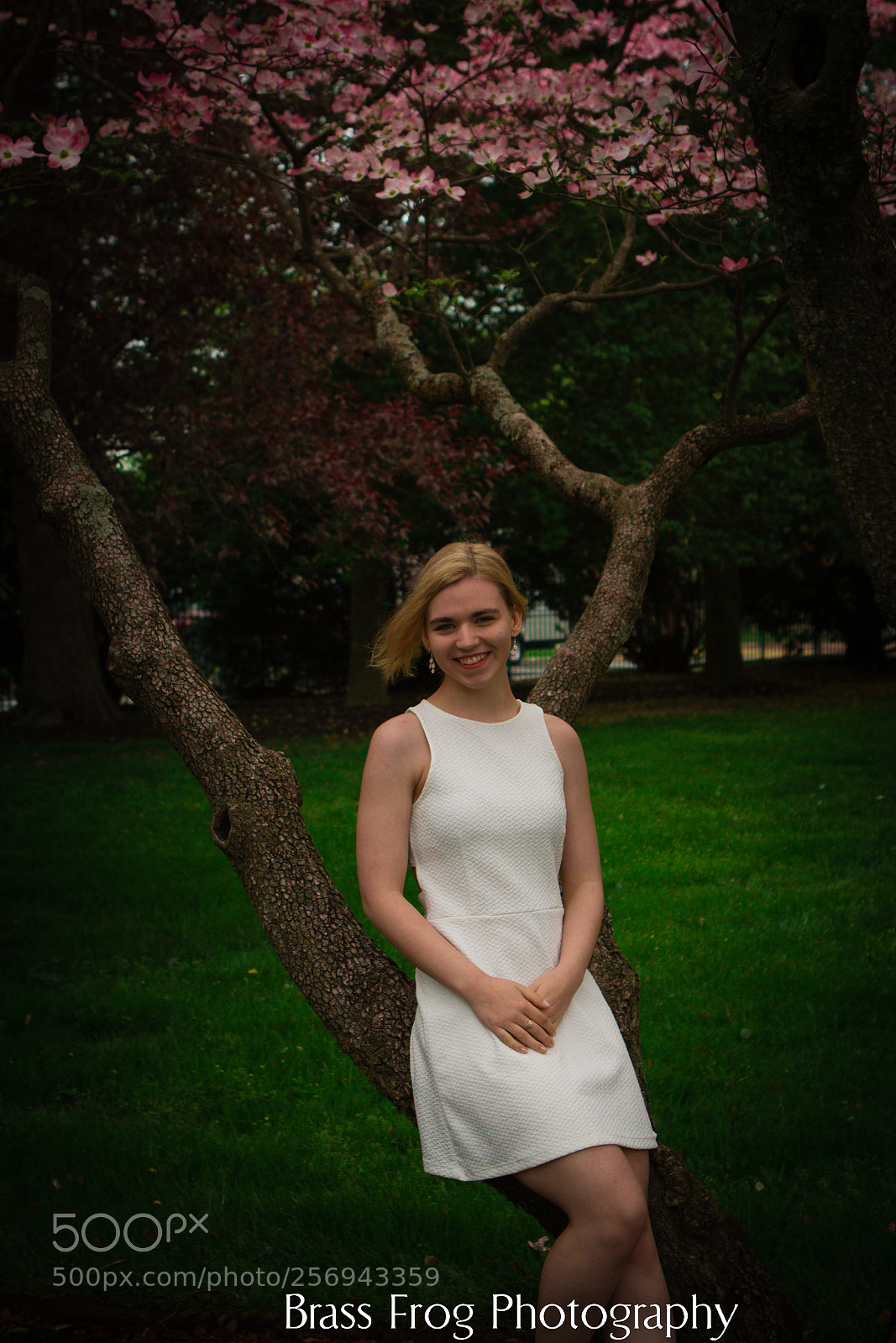 Canon EOS 7D sample photo. Getting ready to take photography