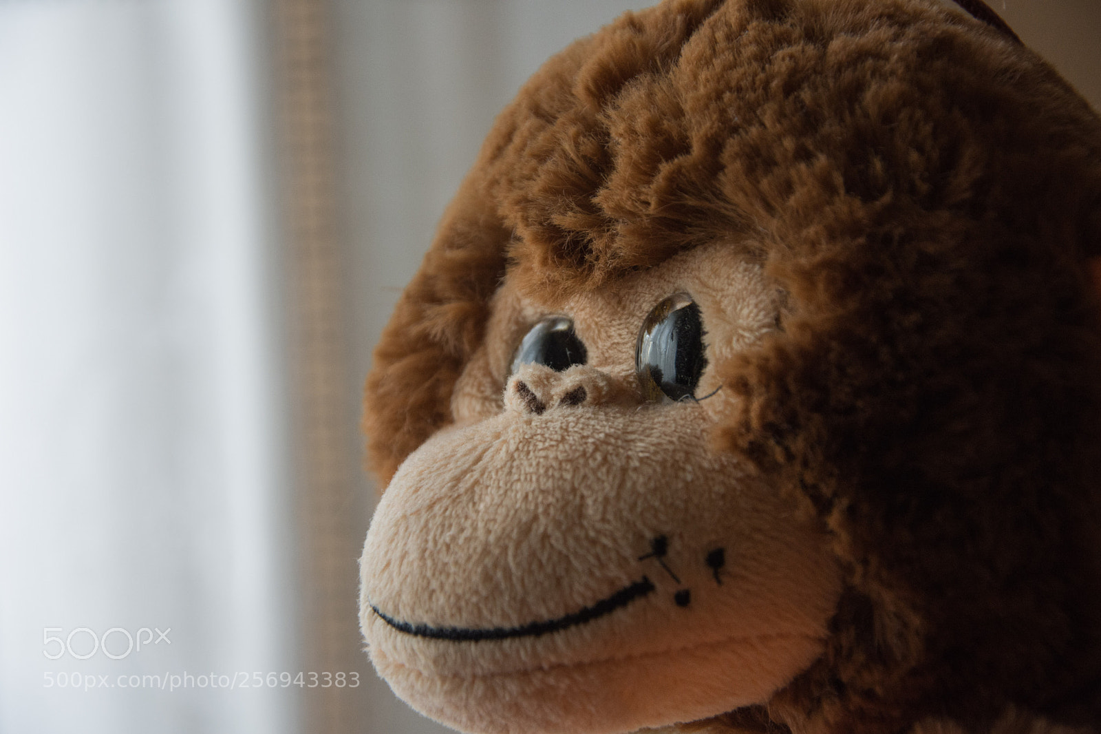 Nikon D7200 sample photo. Monkey photography