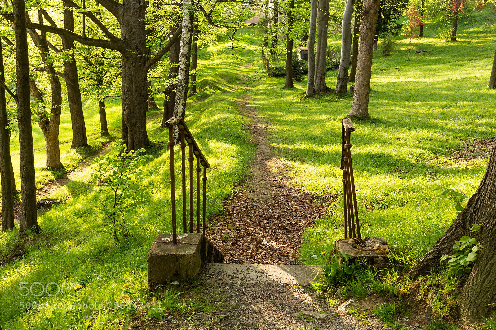 Canon EOS 700D (EOS Rebel T5i / EOS Kiss X7i) sample photo. Bright green forest natural photography