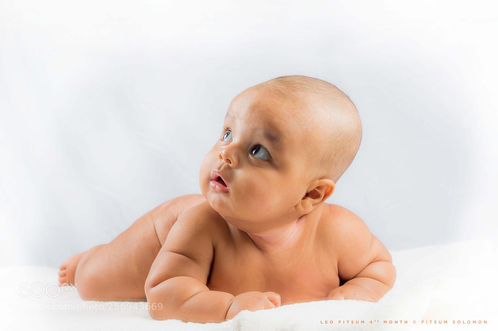 Nikon D7200 sample photo. Leo photography