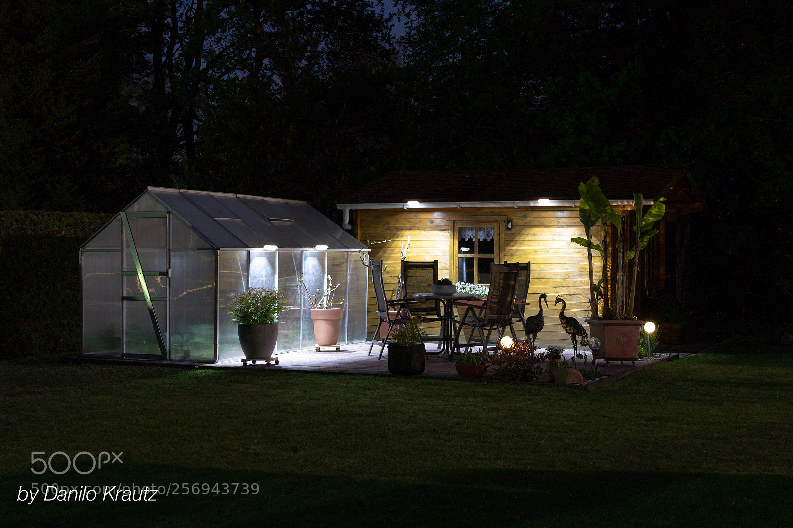 Panasonic Lumix DC-G9 sample photo. Garden photography