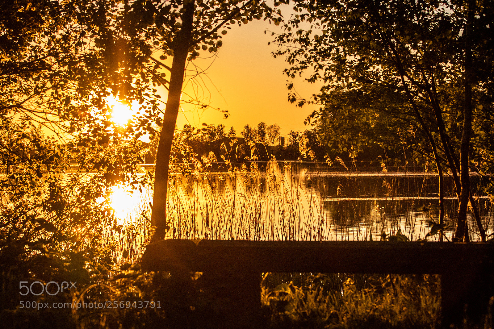 Canon EOS 77D (EOS 9000D / EOS 770D) sample photo. Sunset at the lake photography