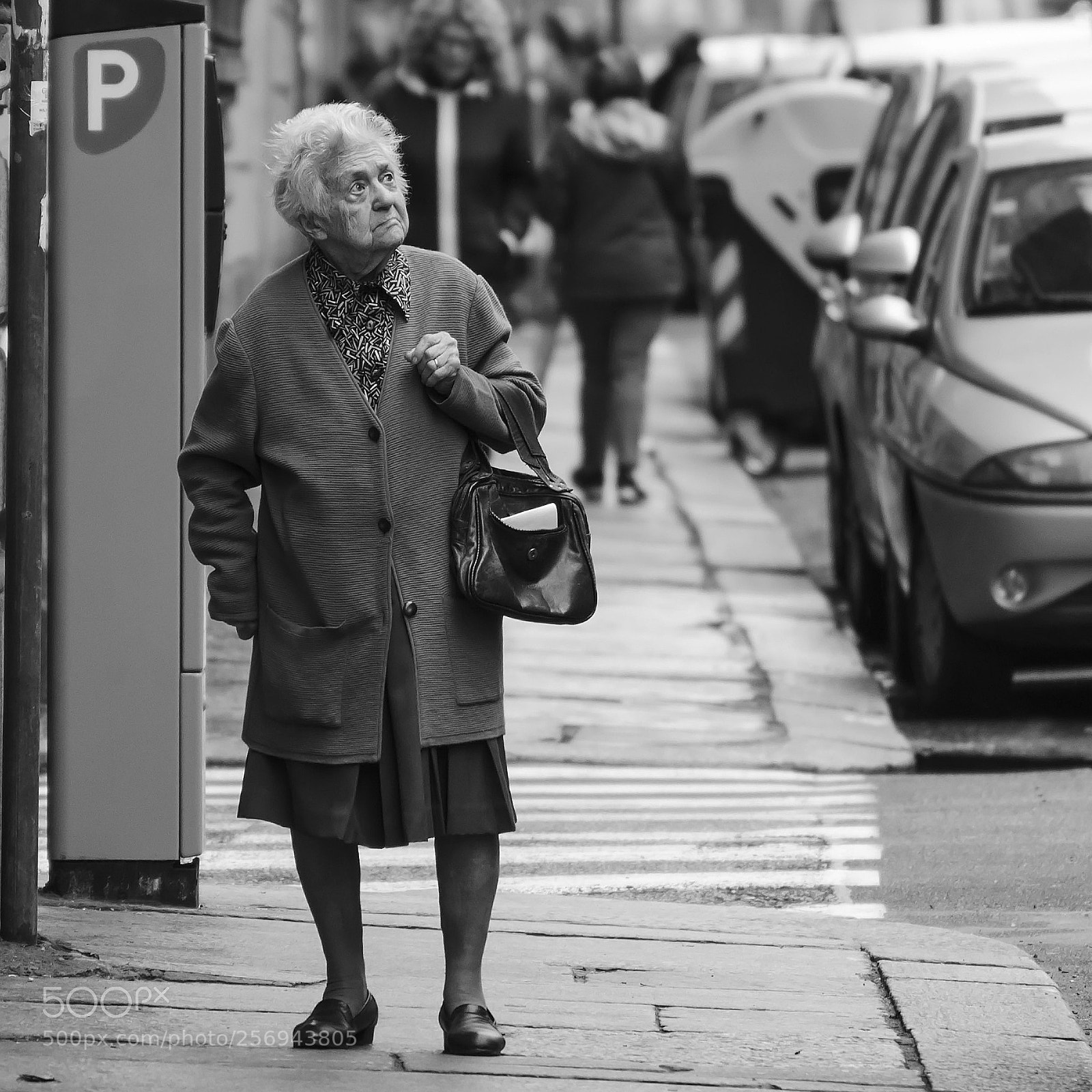 Nikon D7000 sample photo. A lady photography