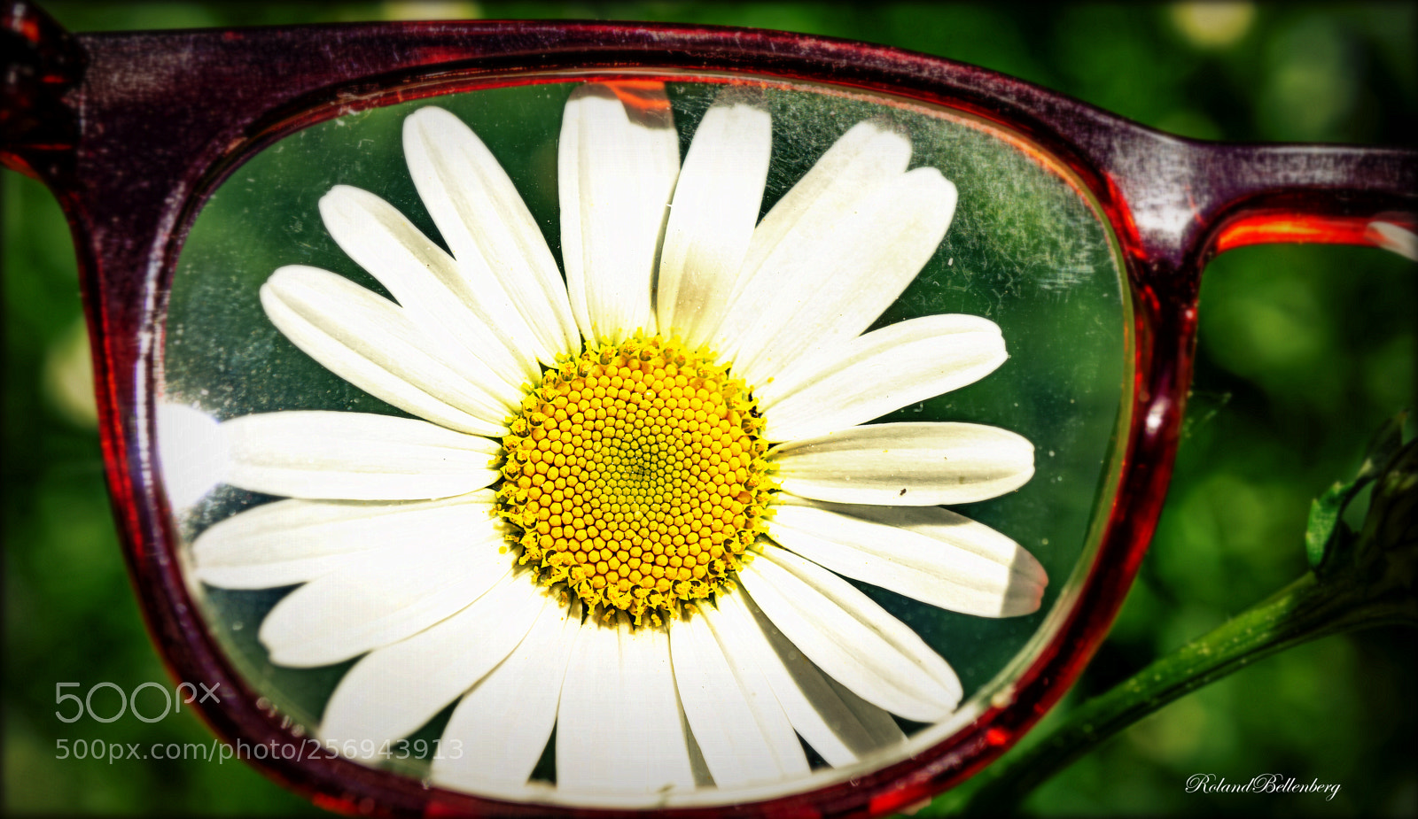 Sony a6000 sample photo. Brille - viel mann photography