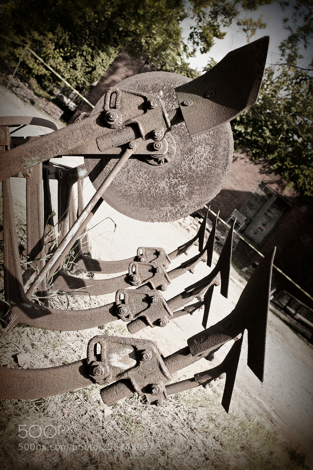 Canon EOS 500D (EOS Rebel T1i / EOS Kiss X3) sample photo. Surrealist goat farm photography