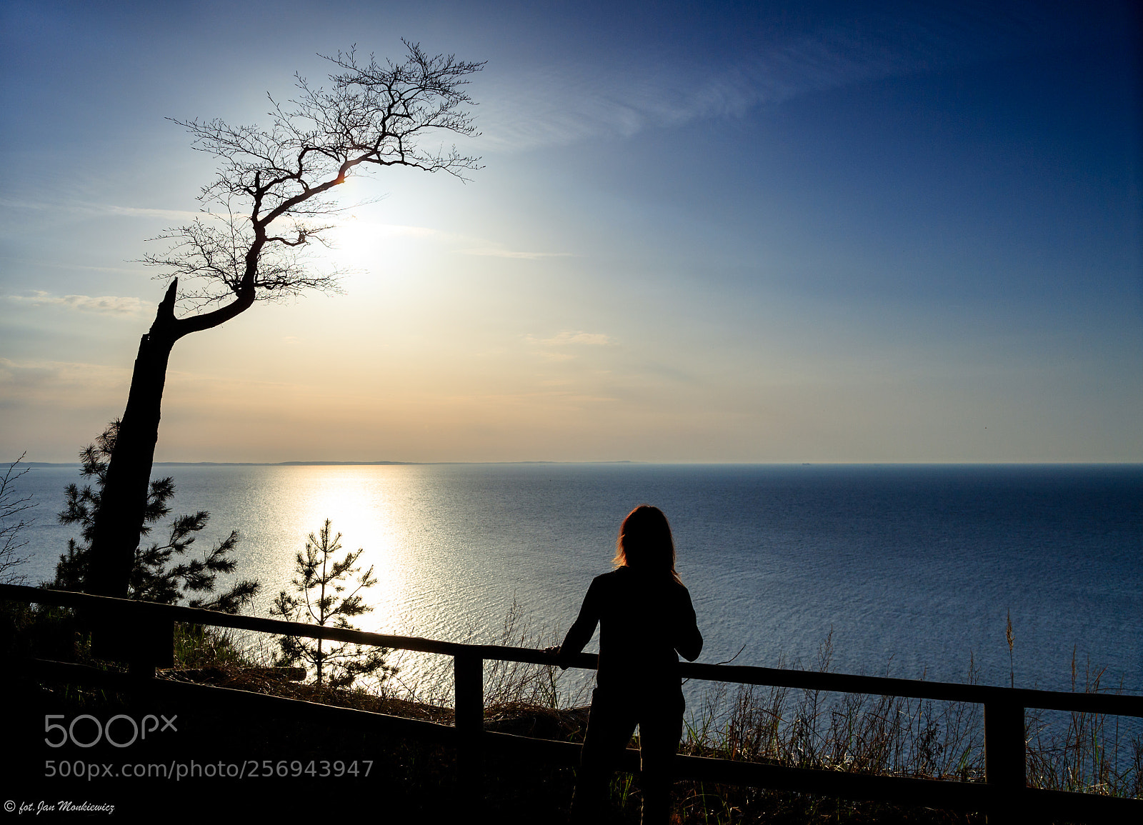 Canon EOS 6D sample photo. Untitled photography