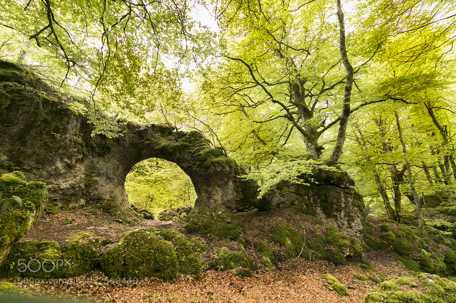 Canon EOS 70D sample photo. Arco de arno photography