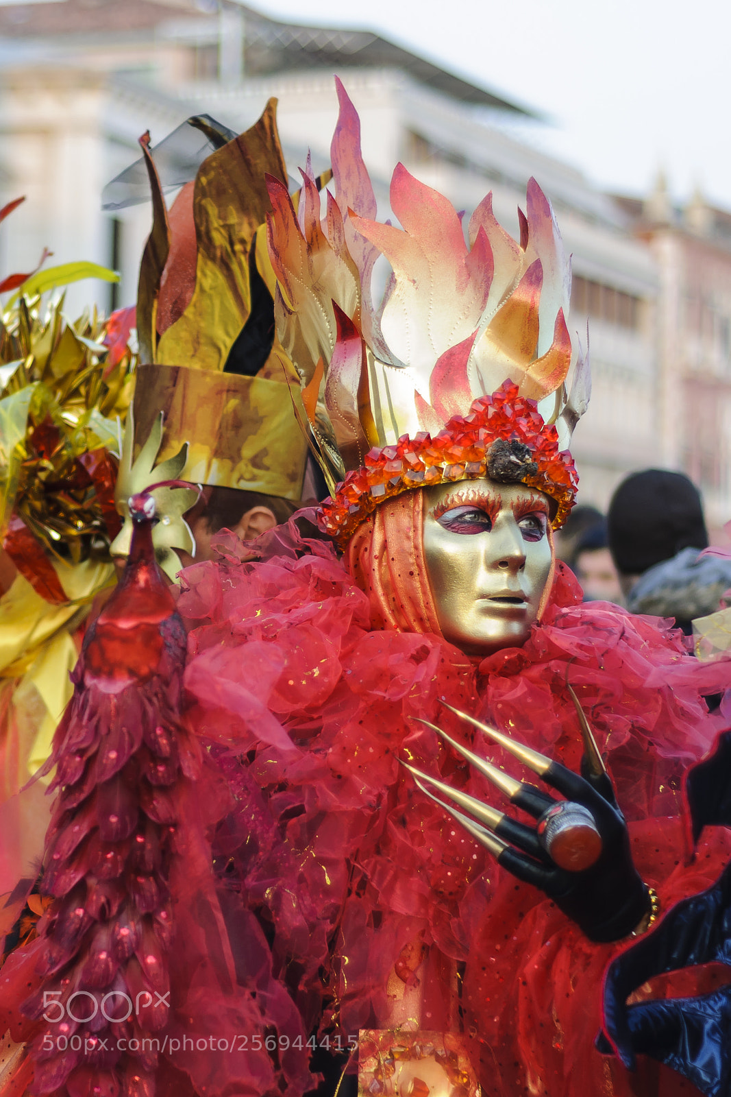 Nikon D90 sample photo. Phoenix in venice photography